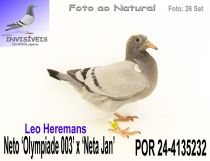 POR 24-4135232